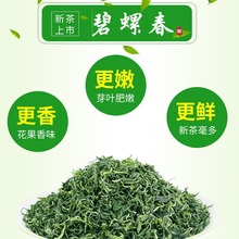 江苏碧螺春苏州茶叶500g2024年新茶礼盒装浓香型明前茶嫩芽