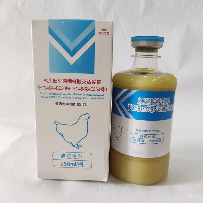 兽药华宏 鸡大肠杆菌蜂胶灭活疫苗预防鸡大肠杆菌疾病 250ml批发