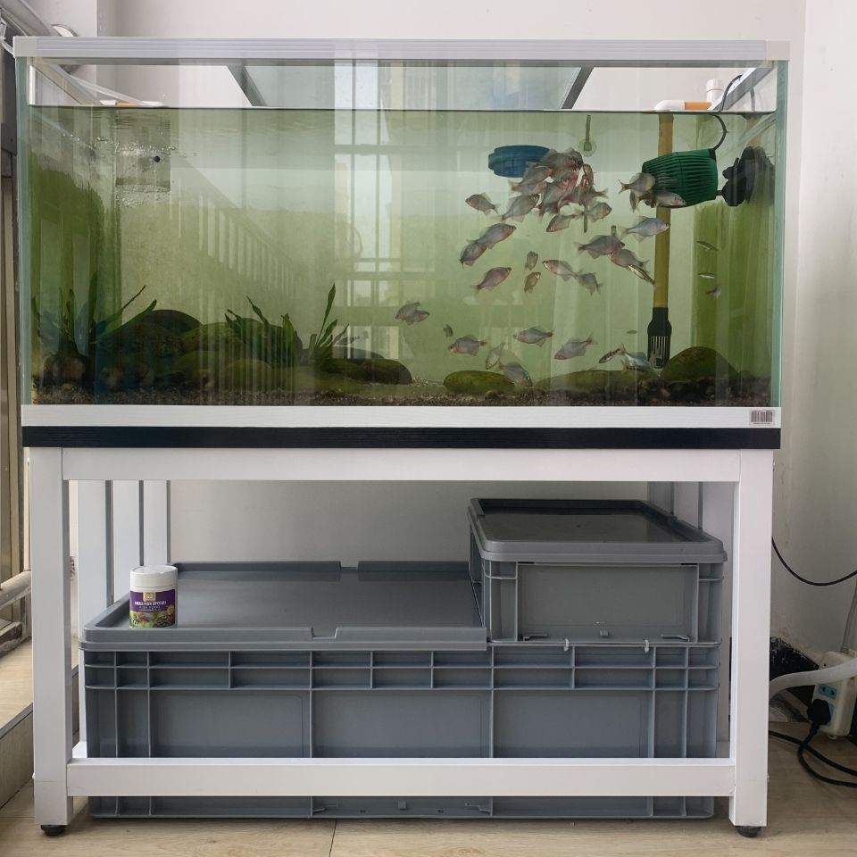 虹吸专用鱼缸上滤底滤槽滤材养水硝化细菌矿物过滤材料细菌屋十川旗下