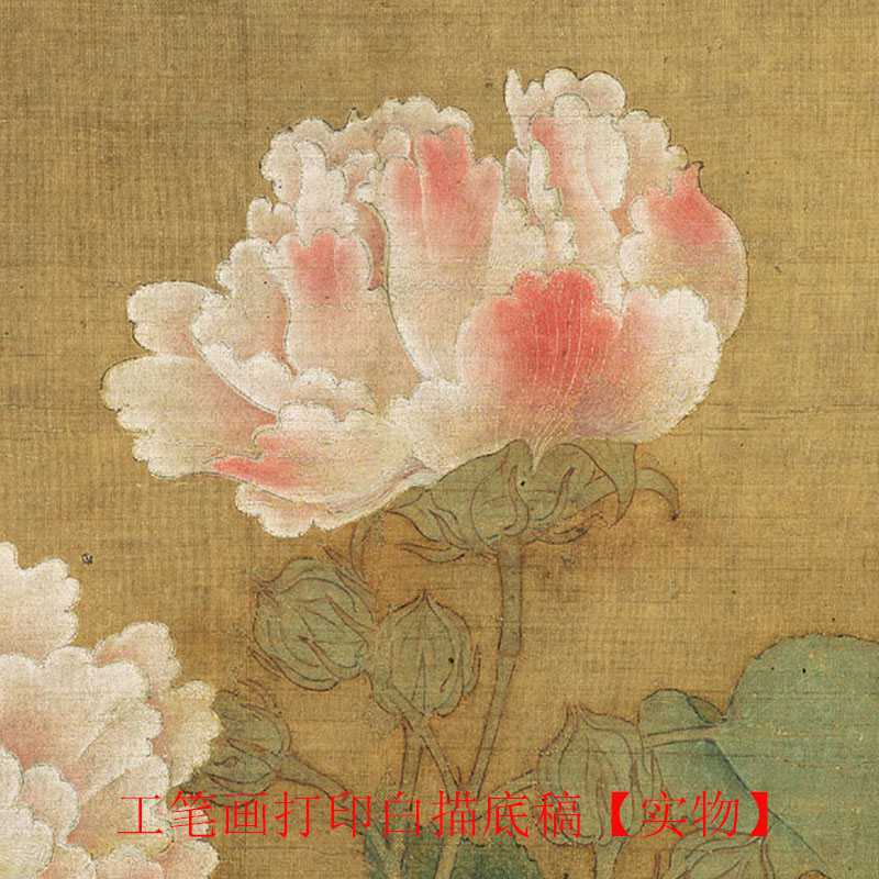 工笔画打印白描底稿宋 李迪 红 白芙蓉图临摹初学者线描过稿素材