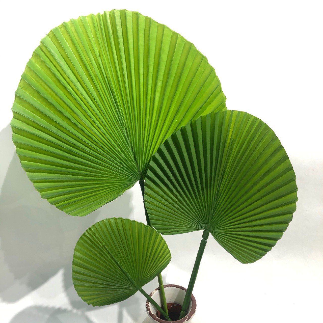 仿真扇子叶大中小-阿里巴巴