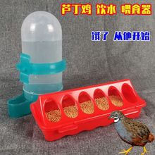 芦丁鸡喂食器食鹌鹑饮水器小雏鸡饮水器食饲料盒自动喂鸡料