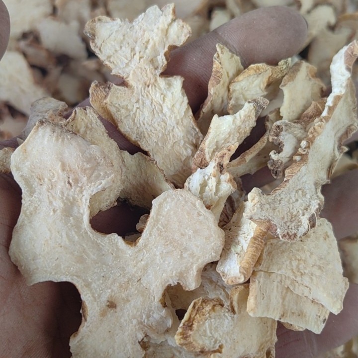 贵州毕节 地珠牌 黄精 生切片 非栽培品 正宗正品 包邮-阿里巴巴