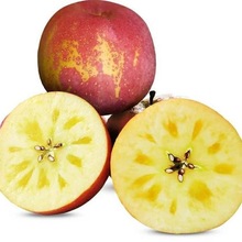 四川盐源丑苹果新鲜当季水果产地直发脆甜苹果一件代发