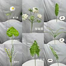 毛线针织散尾葵四叶草撅叶春兰尤加利叶车轴草龟背竹飞蓬朱蕉柳叶