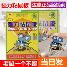 达豪粘鼠板强力粘鼠胶捕鼠器灭老鼠B5海外版老鼠板厂价 200张整箱