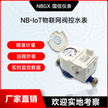 NB-IoT物联网阀控水表 公寓智能远程传输数据手机缴费预付费水表