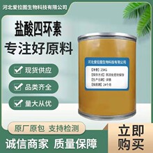 盐酸四环素 现货供应 盐酸四环素 64-75-5 含量99%量大从优