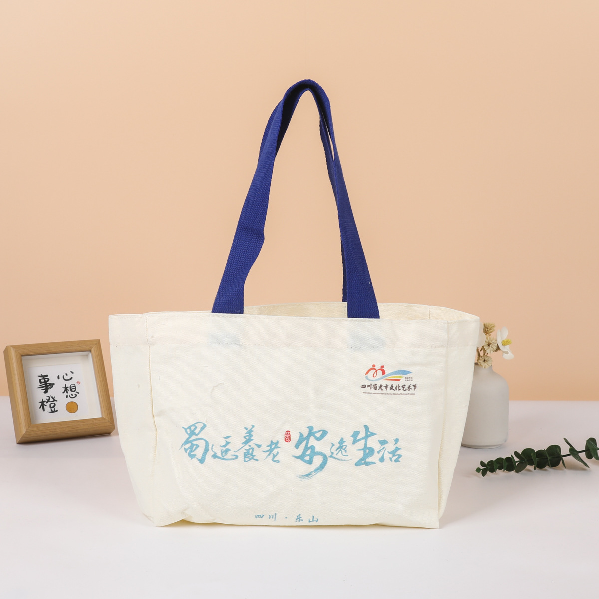 厂家现货批发环保广告空白帆布袋定制图案企业礼品袋印logo防水袋