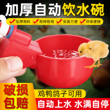 鸡用饮水器鸡用自动器鸡喝水家禽喂养喂水神雏鸡水壶柯尔鸭用品