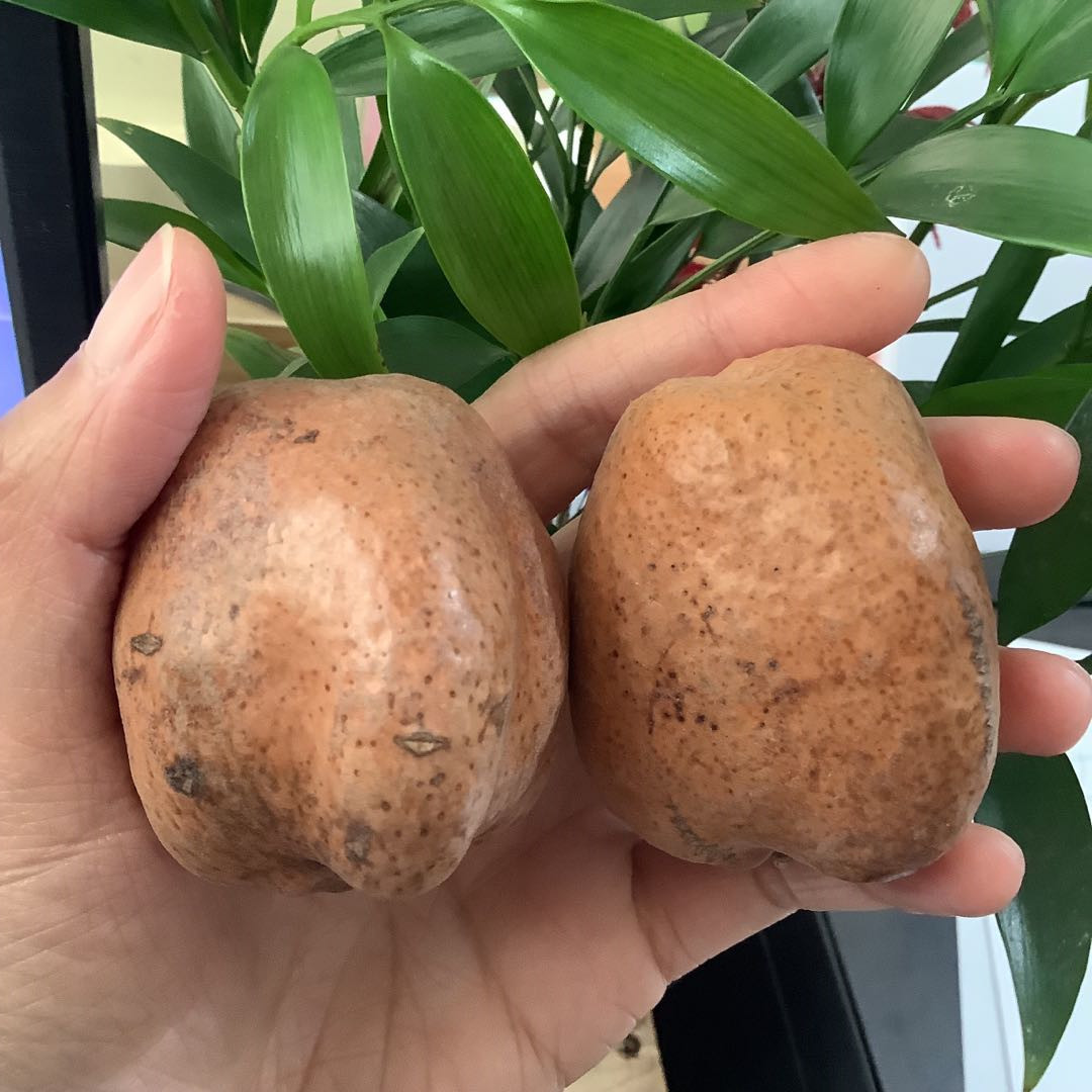 佛心果原籽精品释迦佛心菩提子原料红黄皮老果手串把件挂坠批发