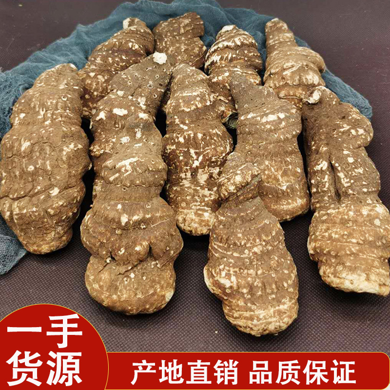 云南滇重楼个七叶一枝花蚤休粉质重楼干货中药材草河车独角莲100g