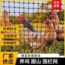 养殖鸡鸭塑料围栏网拦网圈山地围果园鱼塘防护网隔离围墙篱笆栅栏