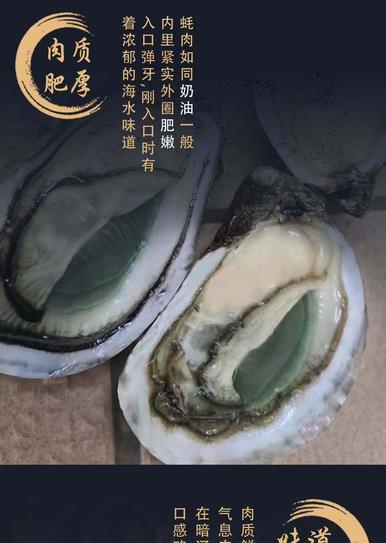 法国进口生蚝绿翡翠海鲜鲜活生蚝大量批发产地水产直供生吃刺身蚝