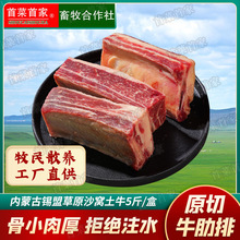 首菜首家 内蒙黄膘牛肋排1斤/件 鲜牛肉牛排 烧烤食材工厂直供