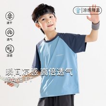 男童速干T套装夏装半袖儿童2024新款女童短袖大童薄款冰丝运动t恤