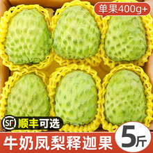 泰国大目释迦牛奶释迦果新鲜水果4斤装佛头果番荔枝顺丰空运包邮