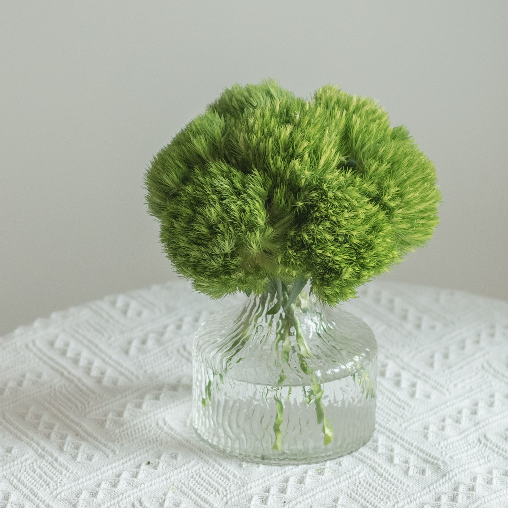 真软萌鲜花绿毛球花草集严选鲜切桌面鲜花小众气质可爱值爆棚花瓶