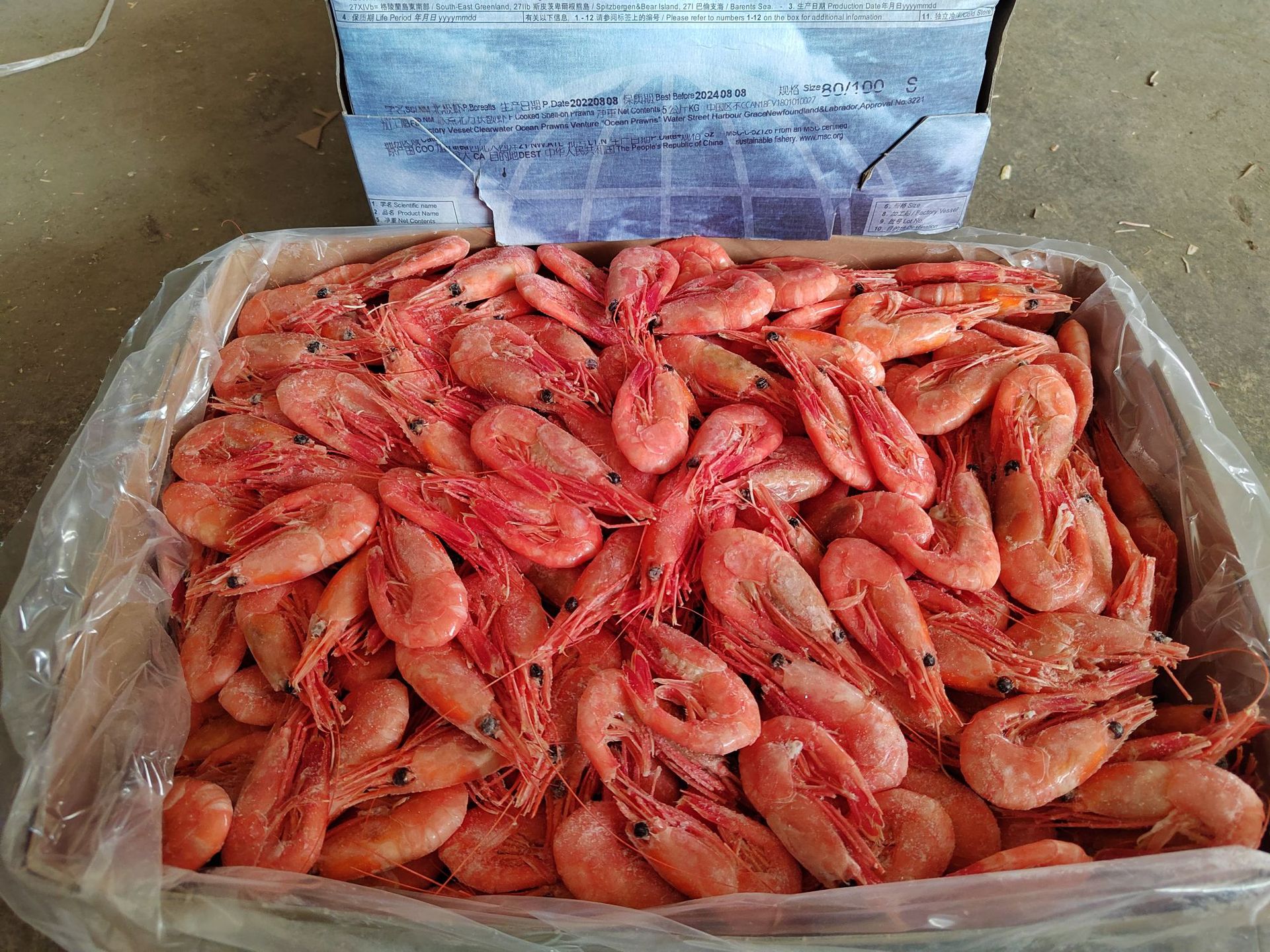 海鲜 净重10斤头籽北极虾 北极甜虾 冰冻虾 冰虾-阿里巴巴