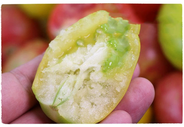 东北4斤红黄虎皮柿子花皮球黄柿子番茄新鲜蔬菜西红柿