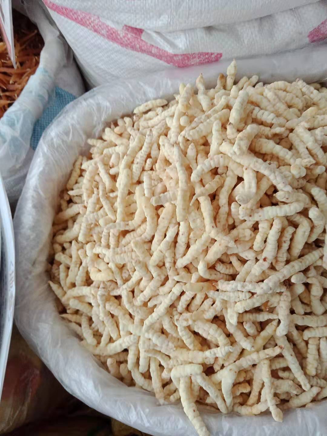 虫草参 地参批发 地摊展会大条白虫草参竹节参 云南地参虫草参