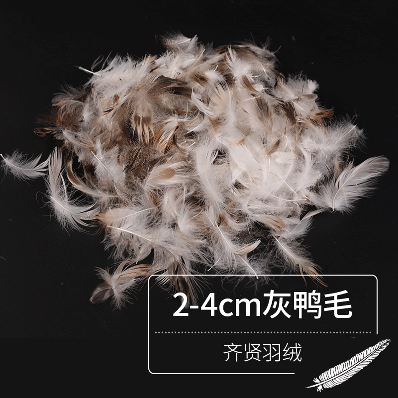 填充物鸭毛