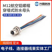 M12航空铝螺帽穿墙式防水母头线航空插头焊线 5芯6芯航空插头线