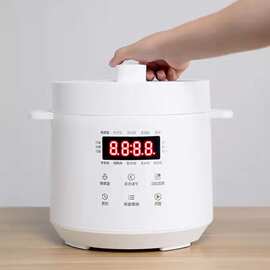工厂跨境陶瓷内胆电压力锅家用无涂层小型110V智能3L高压锅电饭煲