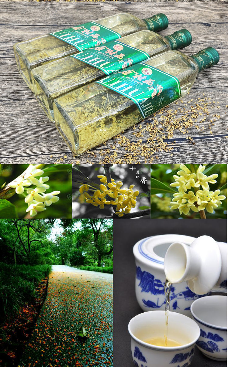 桂林特产 桂林桂花酒53度金桂花酒500ml桂花酿果酒露酒