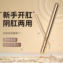 肛塞sm道具情趣肛门性用品自慰器房趣合欢灌肠用具肛交玩具女变态