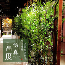 假竹子植物室内隔断屏风客厅酒店景观橱窗绿植竹子装饰高仿真竹子