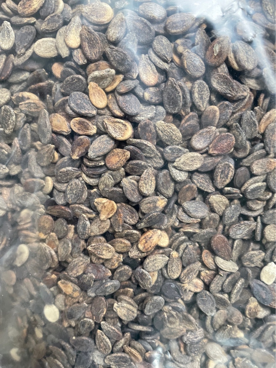 西瓜籽 烘焙原料 西瓜子 一件代发500克