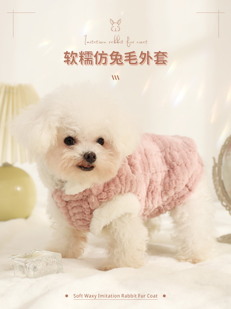 Dog Clothes Winter Anti-Lint Spring and Autumn Bichon Small Dog Autumn and Winter Puppy Cute Vest Pet Teddy Autumn