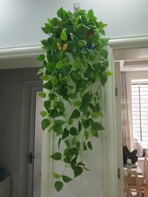绿萝长藤仿真装饰藤条塑料叶子室内壁挂假花绿植挂墙壁上吊兰吊萝