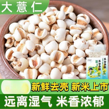 小大做薏仁500g农家炒熟苡薏仁米仁配自产红豆薏米茶赤小豆新货