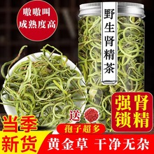 肾精茶肾精草长白山野生化石草肾经草茶中药材黄金草嗷嗷叫草石韦