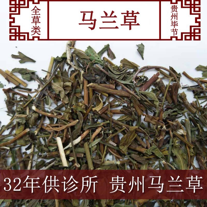 马兰草 贵州马兰草 红管药山白菊白花千里光 一件代发包邮 可打粉