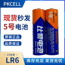 5号碱性电池中文现货厂家批发血氧仪额温枪血压计用五号LR6干电池
