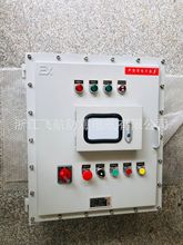 防爆照明动力配电箱 非标配电柜成套仪表箱 自动化控制箱监控箱