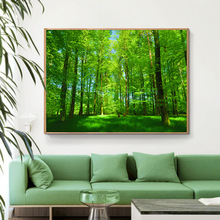 阳光大森林树林绿草地大自然风景画挂画墙画绿色装饰画壁画树木画