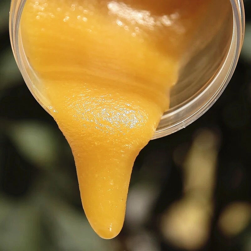 正宗深山木桶压榨土蜂蜜农家蜂场自产自然结晶成熟百花蜜500g批发