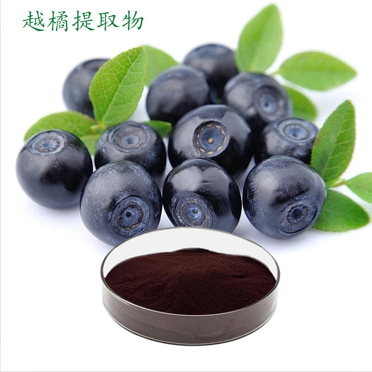 欧洲越橘花青素25% 原花青素 越橘提取物 多种规格 厂家现货 包邮