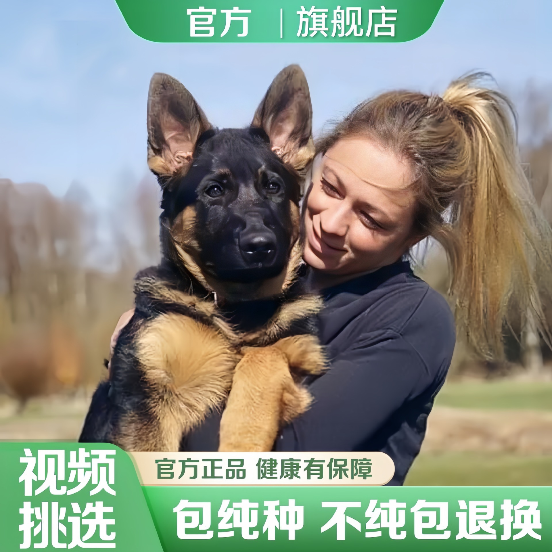 德牧幼犬活体正宗黑背犬大型牧羊犬纯种幼犬双血统大狼狗短毛活体