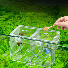 亚克力孔雀鱼繁殖盒免换水水泵过滤斗鱼缸创意生态小型鱼苗隔离盒