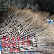 户外竹扫把竹扫帚大扫把庭院马路环卫大扫帚笤帚工厂扫把竹子大街