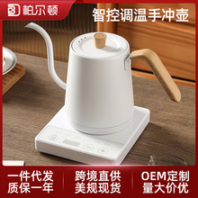 跨境智能控温烧水壶手冲咖啡电热水壶家用细长嘴烧水壶泡茶专用