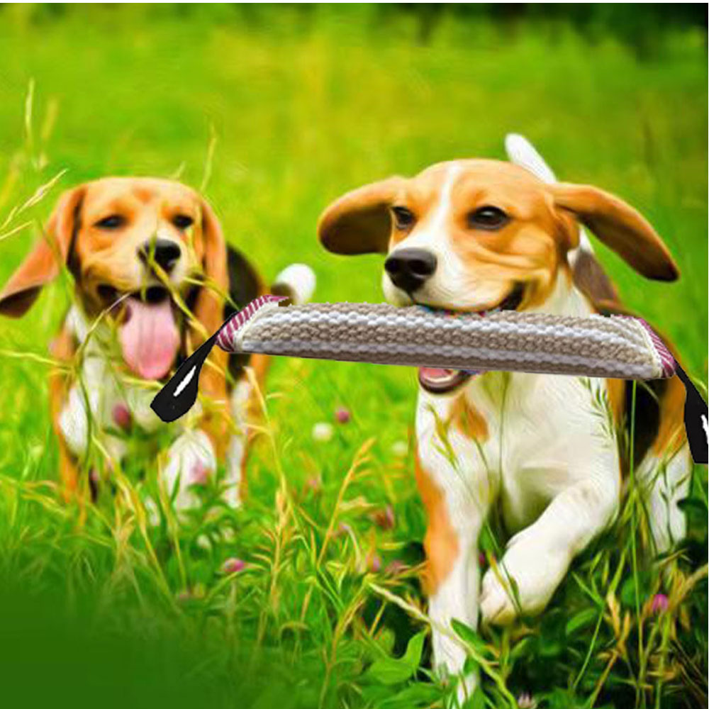 训犬用品 咬棒 黄麻咬棒 狗咬棒 磨牙棒 宠物用品 叼棒 狗狗玩具