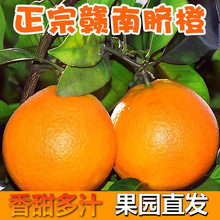 正宗江西赣南脐橙10斤橙子应当季水果新鲜赣州果冻橙冰糖甜橙包邮
