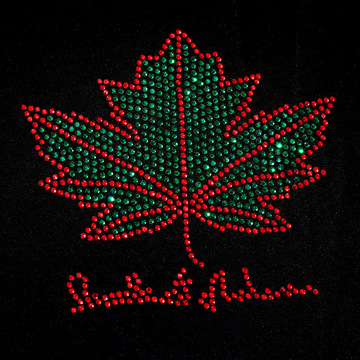 亚马逊树叶满钻烫钻烫图服装logo烫图贴卫衣烫印水钻图案现货批发