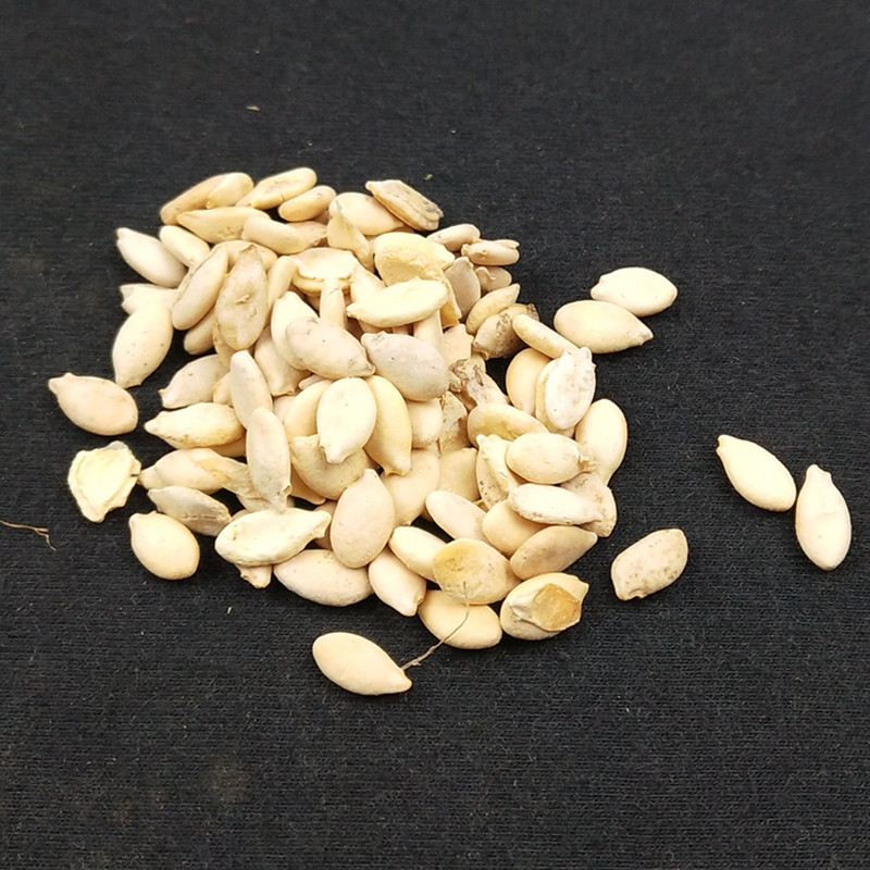 冬瓜籽冬瓜仁新货白瓜子干净冬瓜子冬瓜籽仁批发冬瓜子冷背中药材